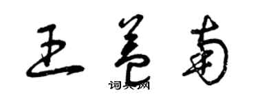 曾慶福王益南草書個性簽名怎么寫