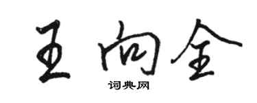 駱恆光王向全行書個性簽名怎么寫