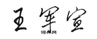 駱恆光王軍宣行書個性簽名怎么寫