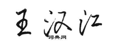 駱恆光王漢江行書個性簽名怎么寫