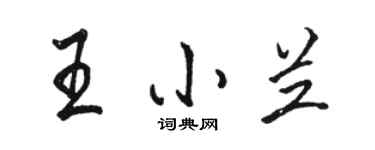 駱恆光王小蘭行書個性簽名怎么寫