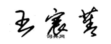 朱錫榮王宸菁草書個性簽名怎么寫