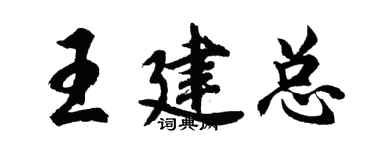 胡問遂王建總行書個性簽名怎么寫