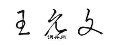 駱恆光王允文草書個性簽名怎么寫