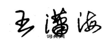 朱錫榮王瀟海草書個性簽名怎么寫