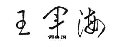 駱恆光王軍海草書個性簽名怎么寫