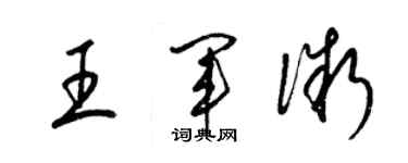 梁錦英王軍微草書個性簽名怎么寫