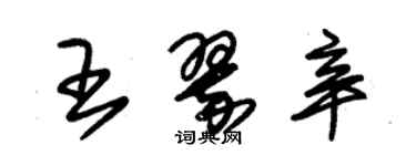 朱錫榮王翠辛草書個性簽名怎么寫