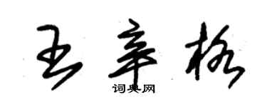 朱錫榮王辛格草書個性簽名怎么寫