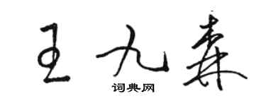 駱恆光王九森草書個性簽名怎么寫