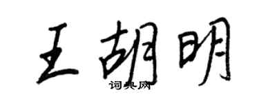 王正良王胡明行書個性簽名怎么寫