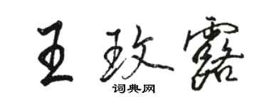 駱恆光王玫露行書個性簽名怎么寫