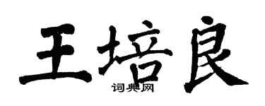 翁闓運王培良楷書個性簽名怎么寫