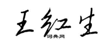 王正良王紅生行書個性簽名怎么寫