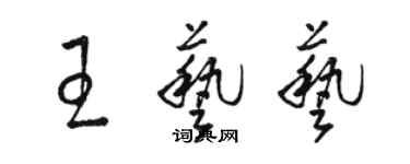 駱恆光王藝藝草書個性簽名怎么寫