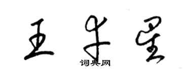 梁錦英王幸星草書個性簽名怎么寫