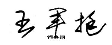 朱錫榮王軍挺草書個性簽名怎么寫