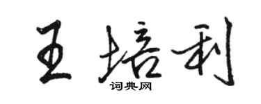 駱恆光王培利行書個性簽名怎么寫