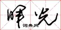 朱錫榮暉光草書怎么寫