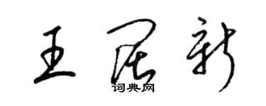 梁錦英王闊新草書個性簽名怎么寫