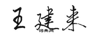 駱恆光王建來行書個性簽名怎么寫