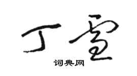 駱恆光丁雪草書個性簽名怎么寫