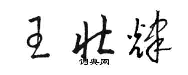 駱恆光王壯輝草書個性簽名怎么寫