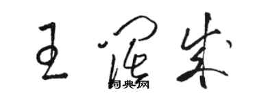 駱恆光王闊成草書個性簽名怎么寫