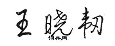 駱恆光王曉韌行書個性簽名怎么寫