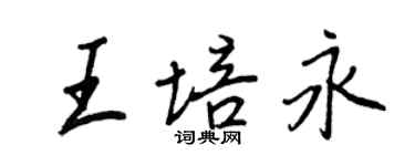 王正良王培永行書個性簽名怎么寫