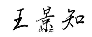 王正良王景知行書個性簽名怎么寫