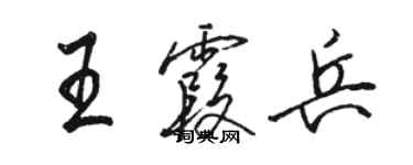 駱恆光王霞兵行書個性簽名怎么寫