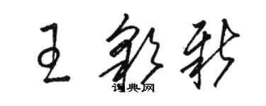 駱恆光王彩新草書個性簽名怎么寫