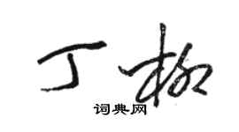 駱恆光丁柳草書個性簽名怎么寫