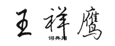 駱恆光王祥鷹行書個性簽名怎么寫