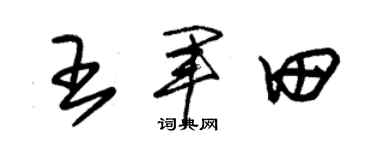 朱錫榮王軍田草書個性簽名怎么寫