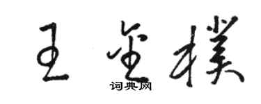 駱恆光王金朴草書個性簽名怎么寫
