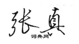 駱恆光張真行書個性簽名怎么寫