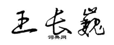 曾慶福王長巍草書個性簽名怎么寫