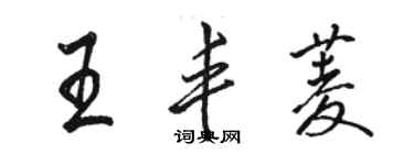 駱恆光王豐菱行書個性簽名怎么寫