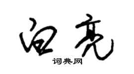 朱錫榮白亮草書個性簽名怎么寫