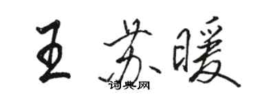 駱恆光王蘇暖行書個性簽名怎么寫