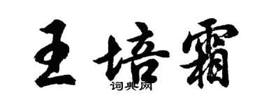胡問遂王培霜行書個性簽名怎么寫