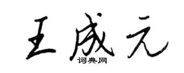 王正良王成元行書個性簽名怎么寫