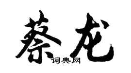 胡問遂蔡龍行書個性簽名怎么寫