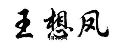 胡問遂王想鳳行書個性簽名怎么寫