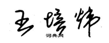 朱錫榮王培煒草書個性簽名怎么寫