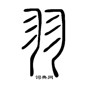 說文解字寫的羽