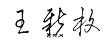 駱恆光王新枚草書個性簽名怎么寫
