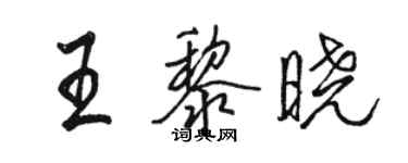 駱恆光王黎曉行書個性簽名怎么寫